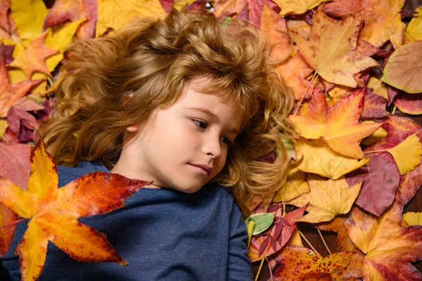 Ένα Παιδικό Πορτραίτο Κοντά Ένα Παιδί Ξαπλωμένο Φθινοπωρινά Φύλλα Φθινοπωρινό — Φωτογραφία Αρχείου