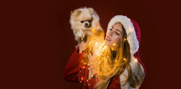 Portrait Young Woman Celebrate Winter Christmas Holidays Hold Puppy Dog — Stock Photo, Image