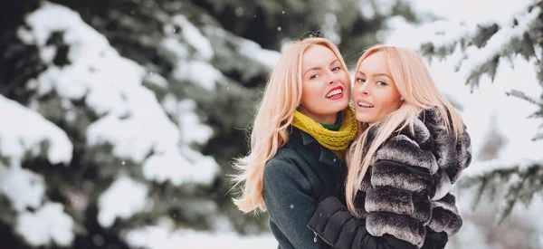 Щасливі Друзі Зимової Жінки Обіймаються Зимовому Сніжному Тлі Відкритому Повітрі — стокове фото