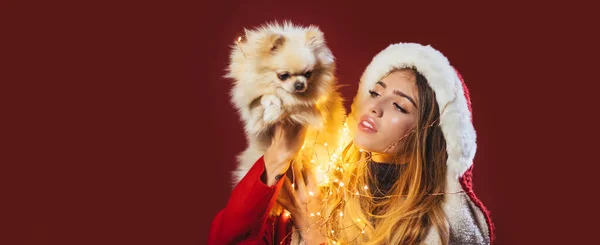 一个漂亮的女人带着狗庆祝寒假的画像 带着一只红色背景的小狗 新年小狗狗 — 图库照片