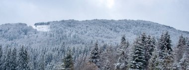 Kar ve buzun kış arka planında dekorasyonun için boş yer var. Kar altında kalan çam ağaçları, kış arkaplanı. Soğuk ve karlı kış dağları afişi