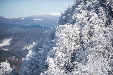 Kar ve buzun kış arka planında dekorasyonun için boş yer var. Soğuk ve karlı kış dağları