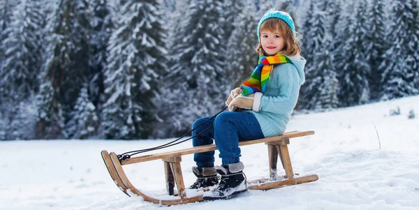 Funny Boy Having Fun Sleigh Winter Forest Woods Cute Children — Stock Photo, Image