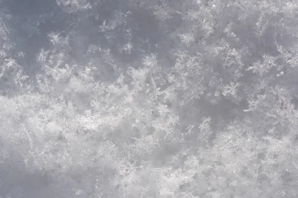 新鮮な雪の白いテクスチャの背景 ふかふか雪のフレーク — ストック写真