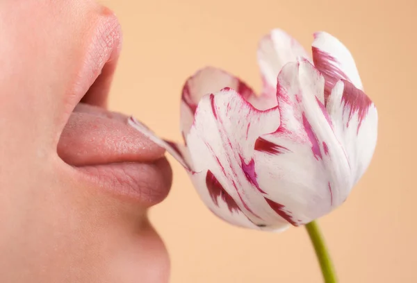 メイク 女性の口とのクローズアップ完璧な自然な唇 セクシーな官能的なフル唇をプランプします マクロな唇と口 美しい柔らかい唇 — ストック写真
