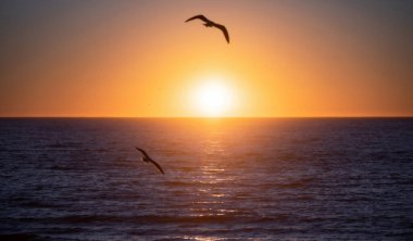 Deniz dalgaları altın gün doğumu. Okyanusun üzerinde gün doğumu