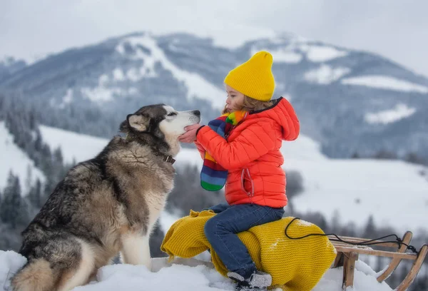Garoto Deslizando Com Trenó Com Cão Husky Siberiano Neve Inverno — Fotografia de Stock