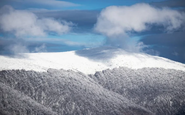 Winterlandschaft Mit Bäumen Die Mit Raureif Bedeckt Sind — Stockfoto