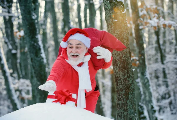 Санта Клаус Идет Зимний Лес Мешком Подарков Снежный Пейзаж Новым — стоковое фото