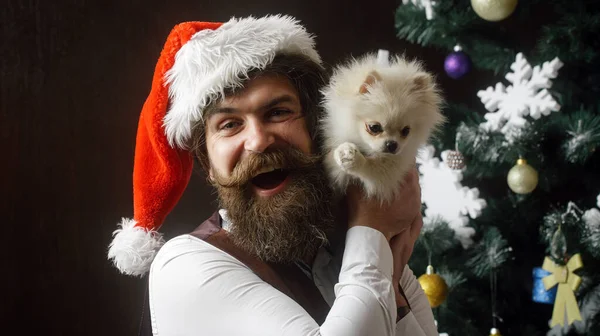 Portret Van Een Grappige Kerstman Vieren Winter Kerstvakantie Houden Puppy — Stockfoto