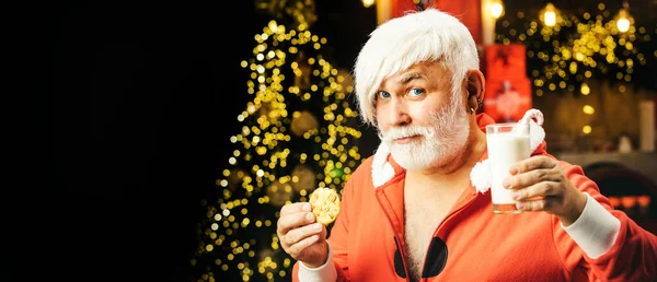现代嬉皮士高级圣诞老人喜欢吃姜饼和牛奶 有趣的圣诞老人在圣诞树旁拿着装有牛奶和饼干的杯子 — 图库照片