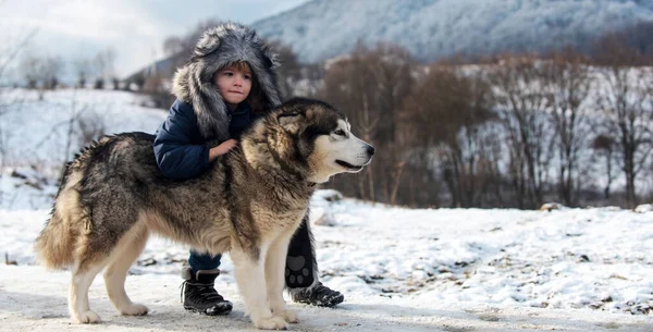 Child Boy Husky Dog Snow Forest Alaskan Canada Snow Landscape — Stock Photo, Image