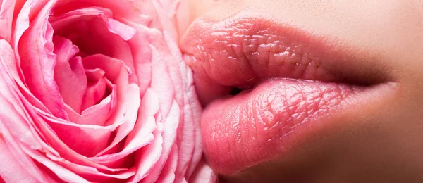 Sztandar Ust Różową Szminką Zbliżenie Piękne Usta Kobiety Różą — Zdjęcie stockowe
