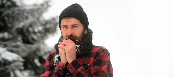 Portrait Bearded Man Snow Winter Man Beard Snow Bearded Man — Stock Photo, Image