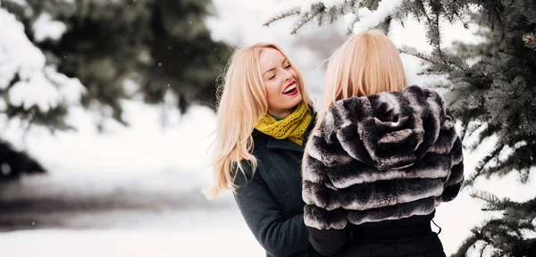 Χειμωνιάτικες Φίλες Μιλάνε Στο Χειμερινό Χιονισμένο Φόντο Πορτρέτο Της Νεαρής — Φωτογραφία Αρχείου