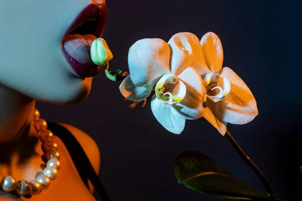 Orkidé Och Kvinnoläppar Sexig Kvinnlig Tunga Slicka Blomma Orkidé Blomma — Stockfoto