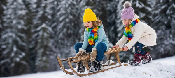 可爱的女孩和男孩享受雪橇之旅 孩子们在冬日公园的雪地里滑行 — 图库照片