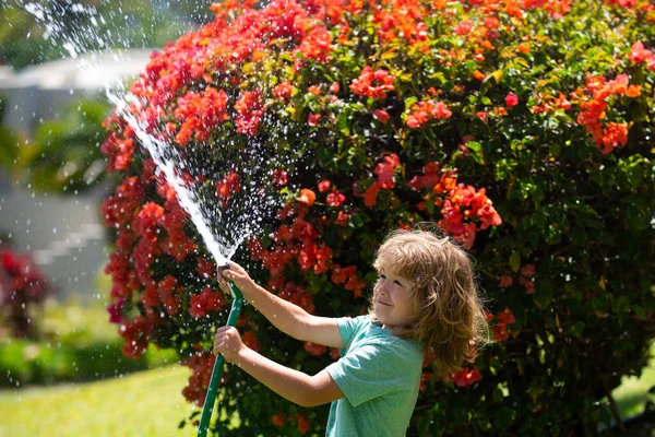 夏の日に庭でかわいい男の子が花に水をやる 植え付け中の園芸ホース付きの子供農家 ホースだ 庭の庭で面白い子供の散水植物 — ストック写真