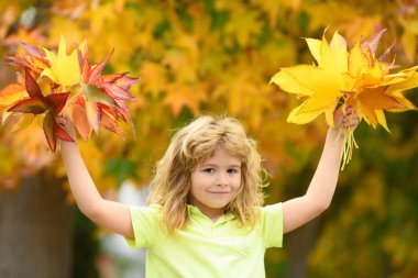 Autumn Child portrait in fall yellow leaves. Little kid boy play with maple leaf in autumnal park outdoor. October season, romantic kids dream