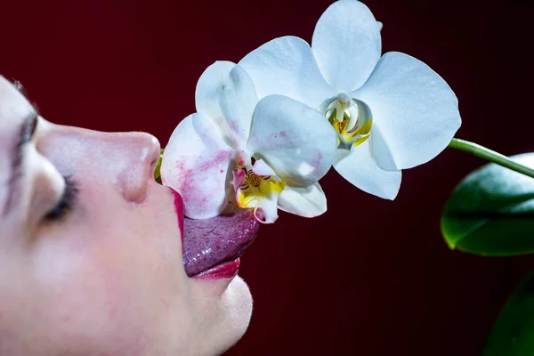 セクシーな女性は花を舐める オーキッドと女性の唇 官能的な女性の口の中で蘭の花 豪華グラマーアート口 — ストック写真