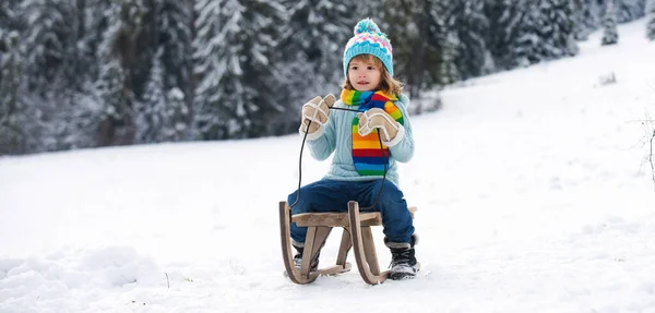 少年は そりに乗って楽しむそり 冬休み 冬の雪の森の中で子供のそり そり付きの子供たち 冬の雪の中でそり バナー 子供のための冬の活動 — ストック写真