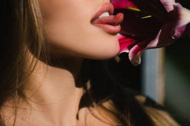 Zambaklı kadın dudakları, doğulu melezler, lityum. Yumuşak dudaklar. Seksi kadın çiçeği yalıyor