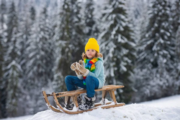 Boy Kid Enjoying Sleigh Ride Playing Snowball Child Sleigh Child — Stock Photo, Image