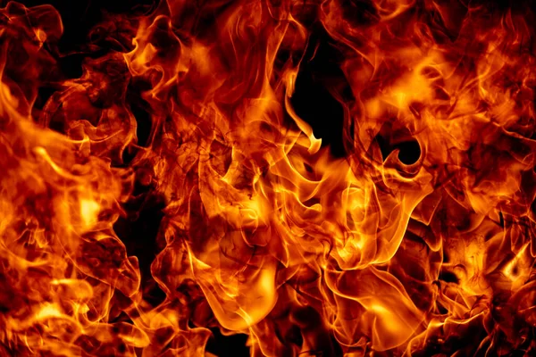 Flame Fires Burn Lights Black Background Fire Flames Black Background — Stock Photo, Image