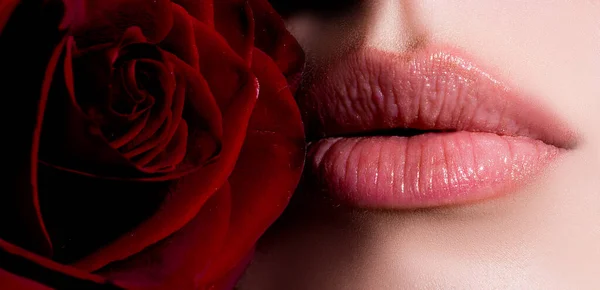 Женский Рот Сексуальными Розовыми Губами Красной Розой Изолированный Крупный План — стоковое фото