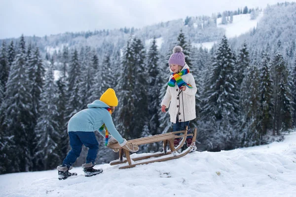 Children Sledding Riding Sledge Children Son Daughter Play Snow Winter — Stock Photo, Image
