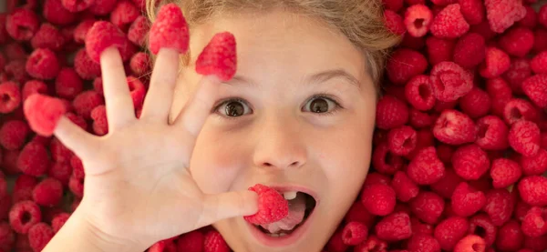 Funny excited kids face near raspberry background, close up studio portrait for banner. Top view photo of child face in raspberries background. Healthy eating