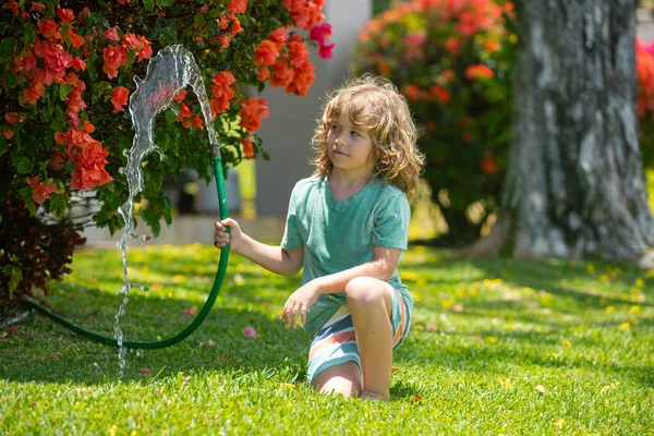 Child having fun in domestic garden. Child hold watering garden hose. Active outdoors games for kids in the backyard during harvest time