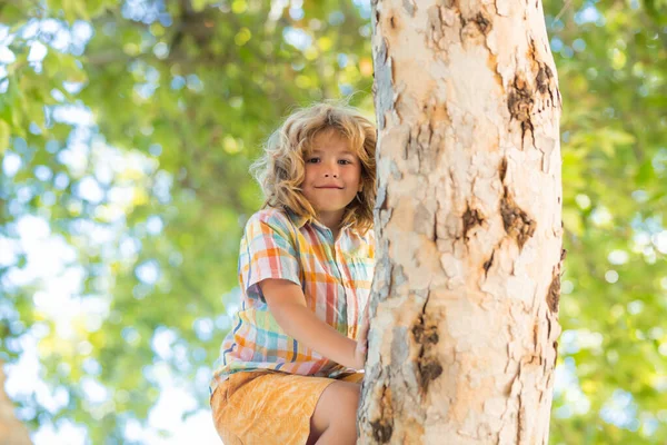 Letý Chlapec Leze Vysoký Strom Parku Překonání Strachu Výšek Šťastné — Stock fotografie