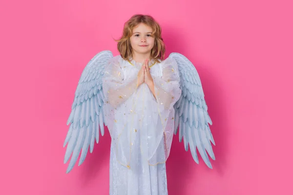 Angel prayer. Little cupid child. Kid angel with angels wings, isolated on pink studio background. Valentines day gift card