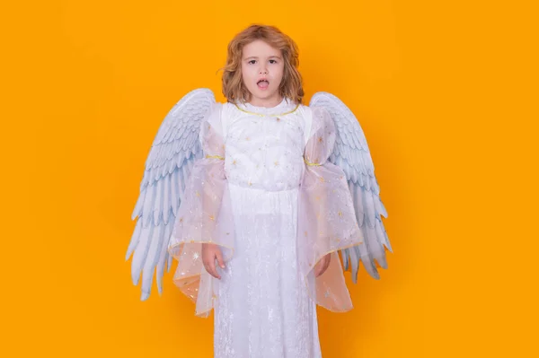 バレンタインデーのバナー 天使の翼を持つかわいい子供 スタジオカラーの天使の子のスタジオポートレートコピースペースと隔離された背景 — ストック写真