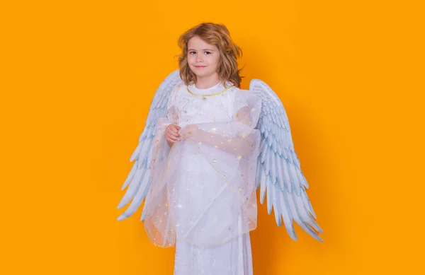 美しい天使だ 孤立したスタジオショット 天使の翼を持つかわいい子供 キューピッドバレンタインデーのコンセプト — ストック写真