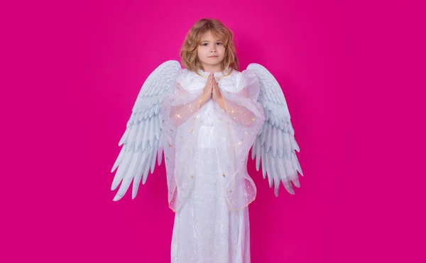 Angel prayer. Kid with angel wings with prayer hands, hope and pray concept. Studio portrait of angel child on studio color isolated background with copy space
