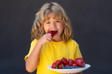 Çocuk bir tabak karışık yaz meyvesi. Çocuk çilek topluyor. Çocuk olgun çilek yiyor. Sağlıklı organik çilek meyvesi, yaz mevsimi. Gri arkaplan