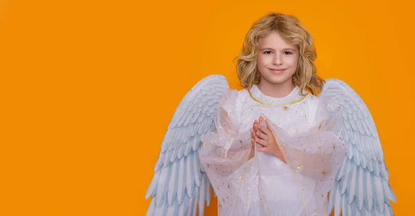 バナーだ バレンタインデー 天使の翼を持つ子供 スタジオカラーの天使の子のスタジオポートレートコピースペースと隔離された背景 — ストック写真