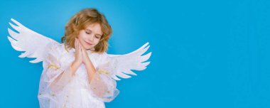 Şirin melek çocuk, stüdyo resmi. Geniş panoramik başlık telif alanı. Sarışın, kıvırcık, melek kanatlı, soyutlanmış bir çocuk.