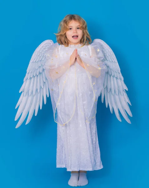Angel Prayer Angel Child Isolated Studio Shot Cute Kid Angel — Stock Photo, Image