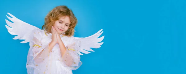 可爱的天使小孩 工作室的肖像 宽横幅全景头复制空间 有天使翅膀的金发卷曲的小天使宝宝 孤立的背景 — 图库照片