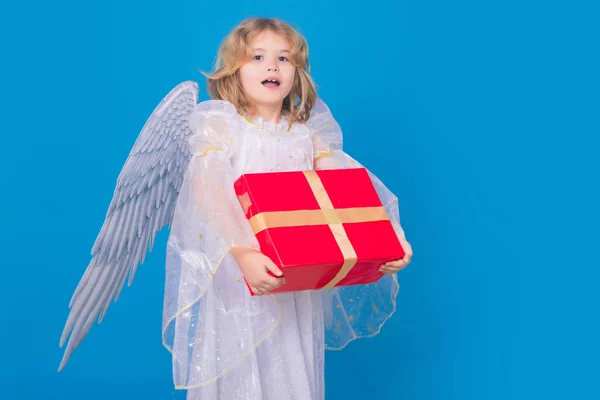 Cute child angel with gift box present. Cute angel kid, studio portrait. Blonde curly little angel child with angels wings, isolated background