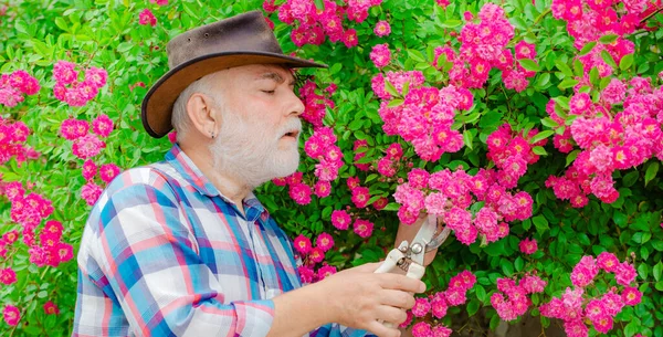 Retired Gardener Senior Portrait Spring Banner Happy Farmer Cowboy Hat — Stock Photo, Image