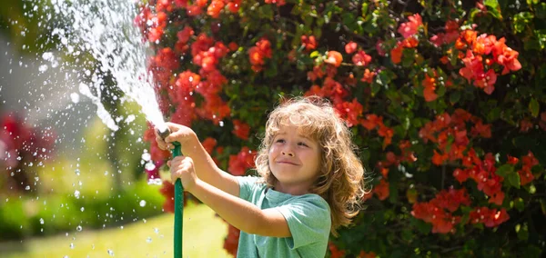 Spring child watering, banner. Kids play with water garden hose in yard. Outdoor children summer fun. Little boy playing with water hose in backyard. Party game for children