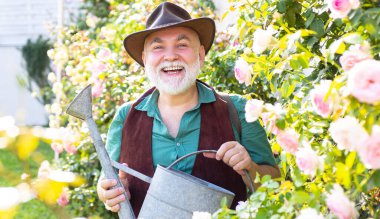 Retired gardener senior portrait, spring banner. Middle aged man portrait holding watering can on roses garden. Gardening hobby. Spring gardening routine. Happy senior man gardening in the backyard