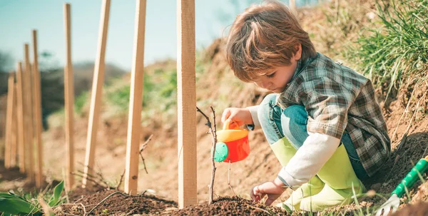 Spring banner. Little farmer with Shovel and watering can. Little helper in garden Planting flowers. Child Farmer planting in the vegetable garden