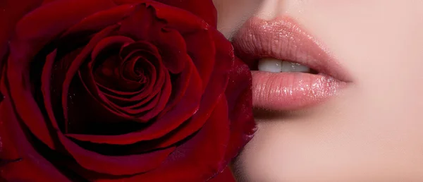 Female mouth with sexy pink lips isolated closeup. Close up woman sensual lips with red lipstick. Passionate lip with red rose