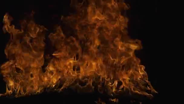 Burning Big Flame Abstract Background Fire Flames Burning Big Flame — Stok video
