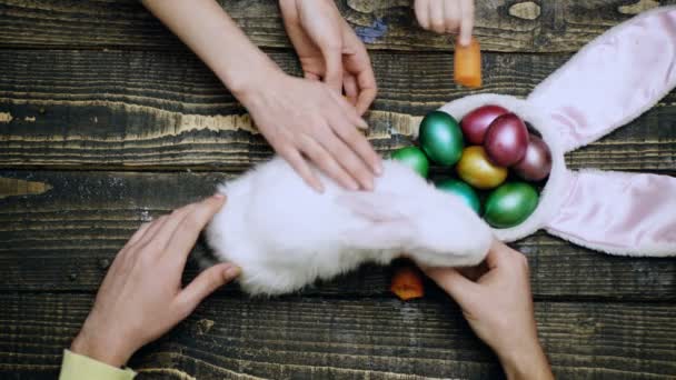 テーブルの上でウサギに餌を与える手 イースターウサギとイースターエッグ木製のテーブルトップ — ストック動画